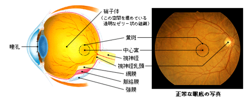 医師に連絡する時期